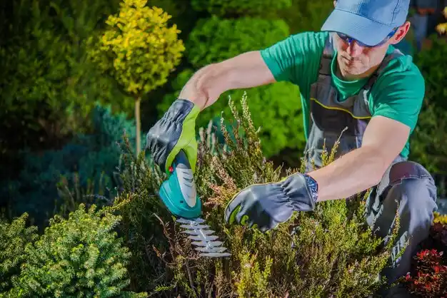 landscaping services Pender
